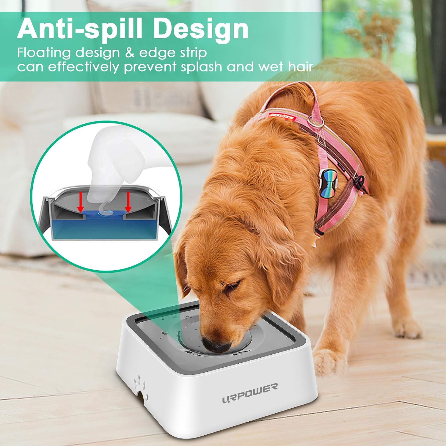 Large dog water bowl for car travel and messy drinkers