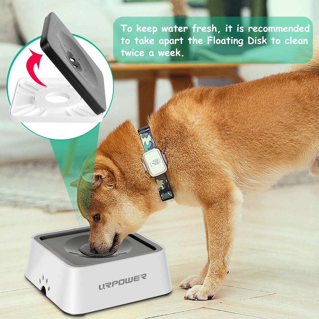 Dog hydration bowl for car and home use