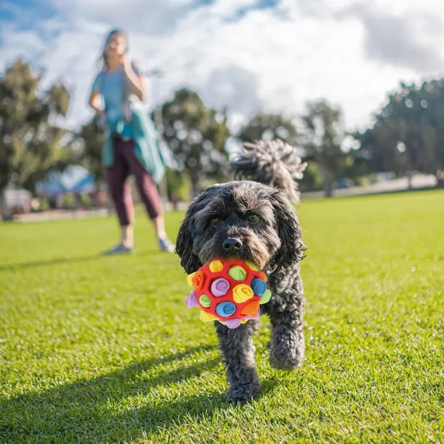 Interactive dog treat ball for slow feeding and enrichment