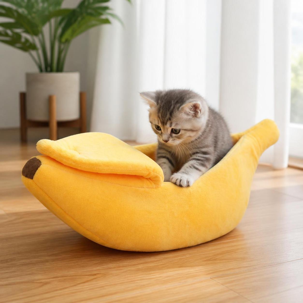 Small cat stepping into the BananaNap yellow banana cat bed