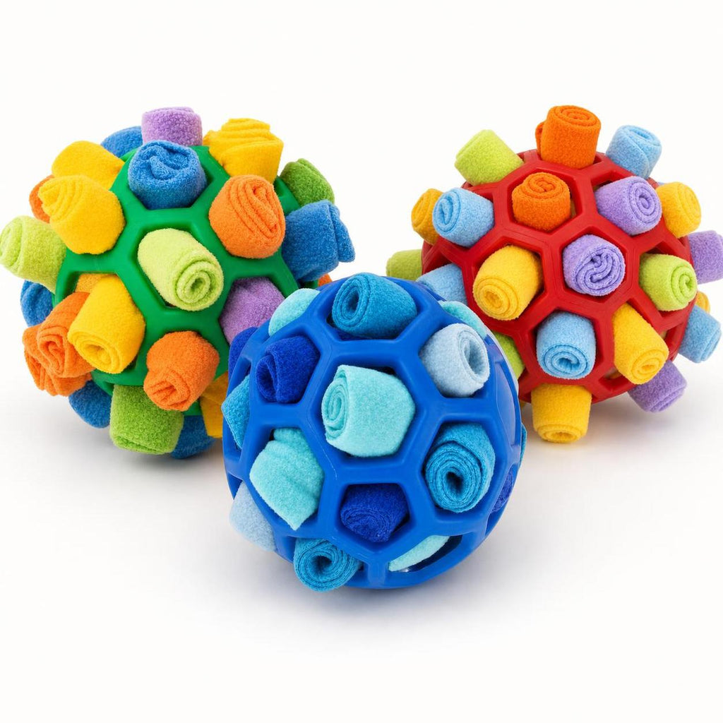 Wag Cabin SniffQuest snuffle balls in green, blue, and red on a clean studio background