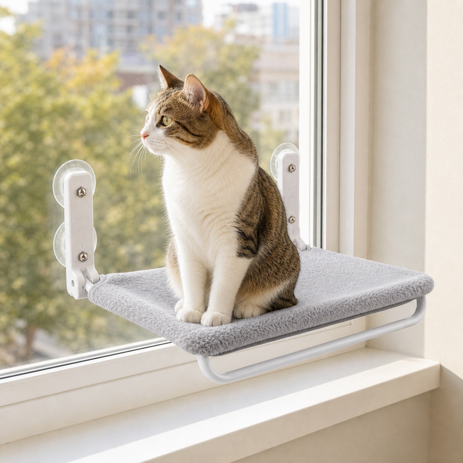 Cat sitting on Wag Cabin SunnySeat window perch and looking outside